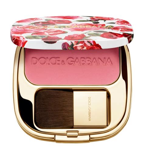 rosa dolce gabbana|dolce gabbana rose blush.